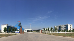 星空官方入口图片